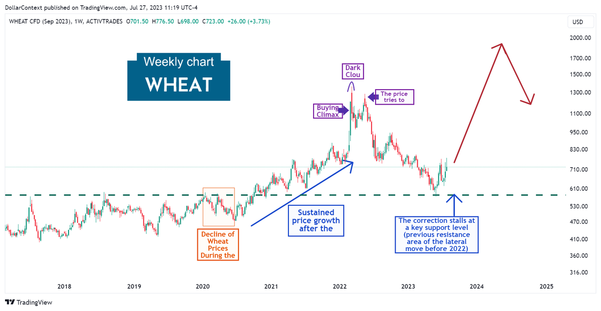 Wheat Prices: A Look Back and Ahead