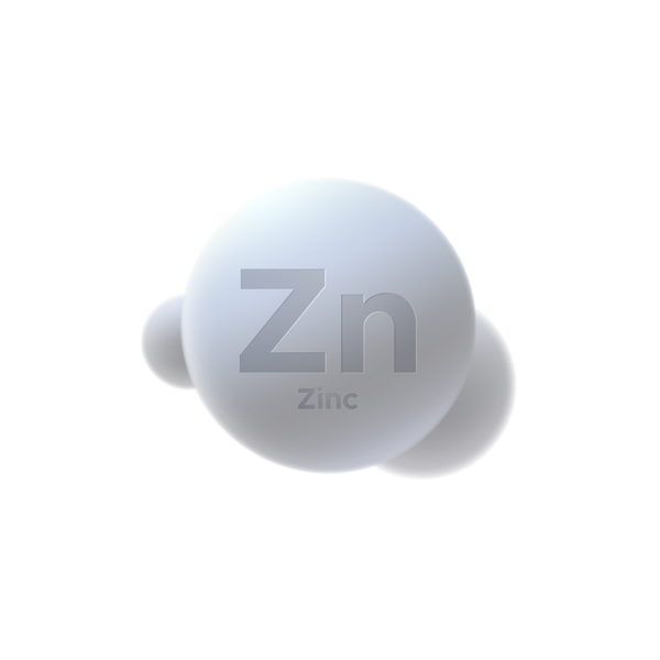 Past and Future of Zinc Prices